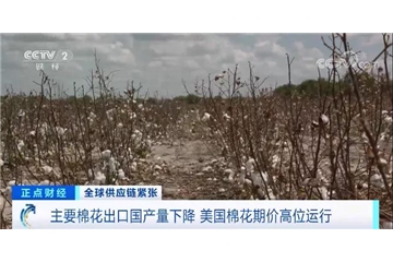 央視調(diào)查：棉花大漲！服裝訂單量下滑，外貿(mào)企業(yè)面臨“三座大山”